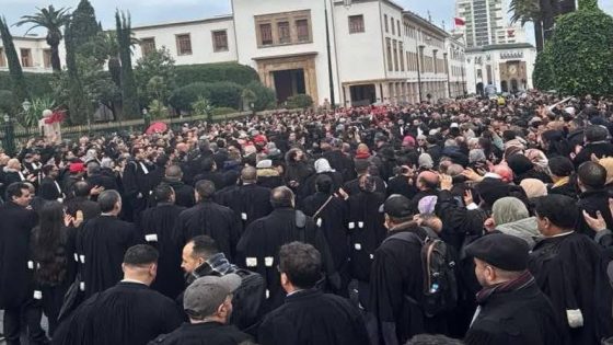 محامو المغرب أمام اختبار حاسم..