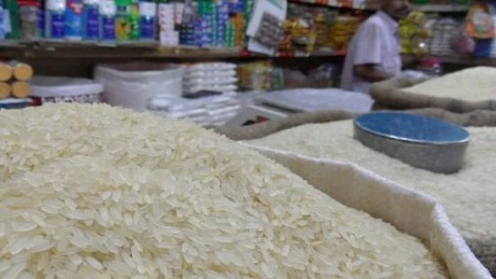أرز الغرب ينهار تحت وطأة الاستيراد