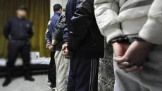 توقيف 6 جزائريين وكشف أختام ووثائق مزيفة