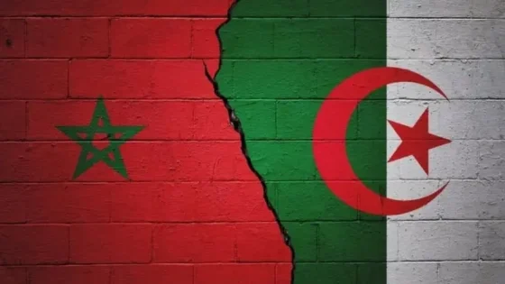 تبون يخفف لهجة الجزائر.. هل بدأت ساعة حل ملف الصحراء؟