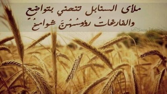 التواضع رفعةٌ لا يعرفها المتكبرون… ملأى السنابل تنحني، والفارغات يرفعن رؤوسهن!