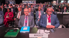 إشادة أممية واسعة بتجربة المغرب في العقوبات البديلة
