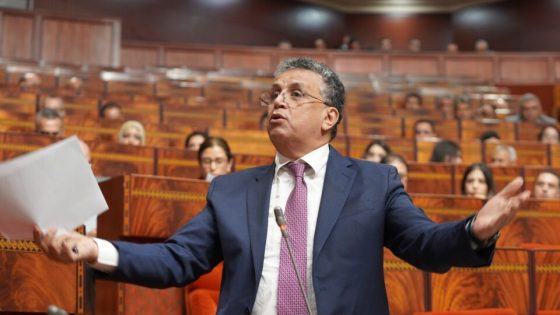 عودة وهبي إلى وزارة العدل.. لماذا الرجل نفسه مرة ثانية؟